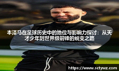 333官网